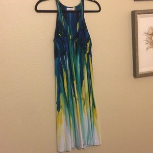 Calvin Klein Watercolor Dress